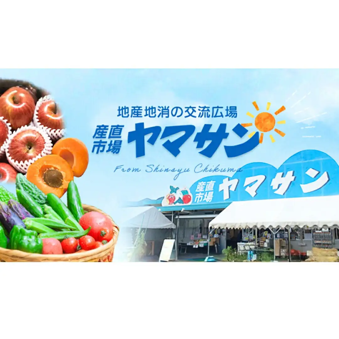 【2026年先行予約】千曲市産 秋映 りんご 約3kg 訳あり 家庭用 | りんご