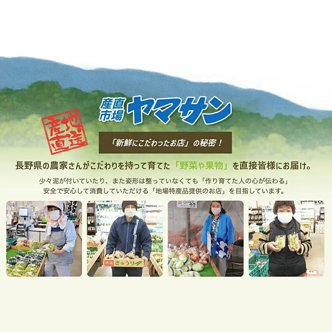 【2026年先行予約】千曲市産 シナノゴールド りんご 約5kg 訳あり 家庭用 | りんご