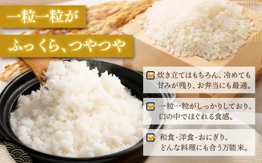 【新米受付・令和8年産米】【定期便：3ヶ月お届け】】新潟県村上市　岩船産コシヒカリ6kg（2kg×３袋）×3ヶ月　合計18kg　1103002N