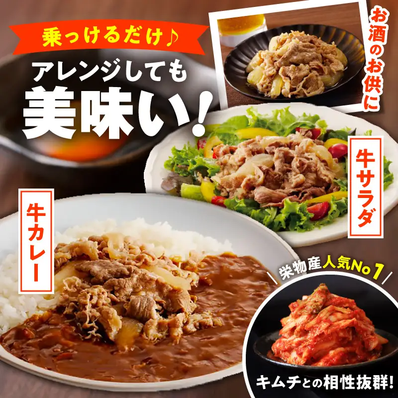 牛丼の具 総量1.2kg