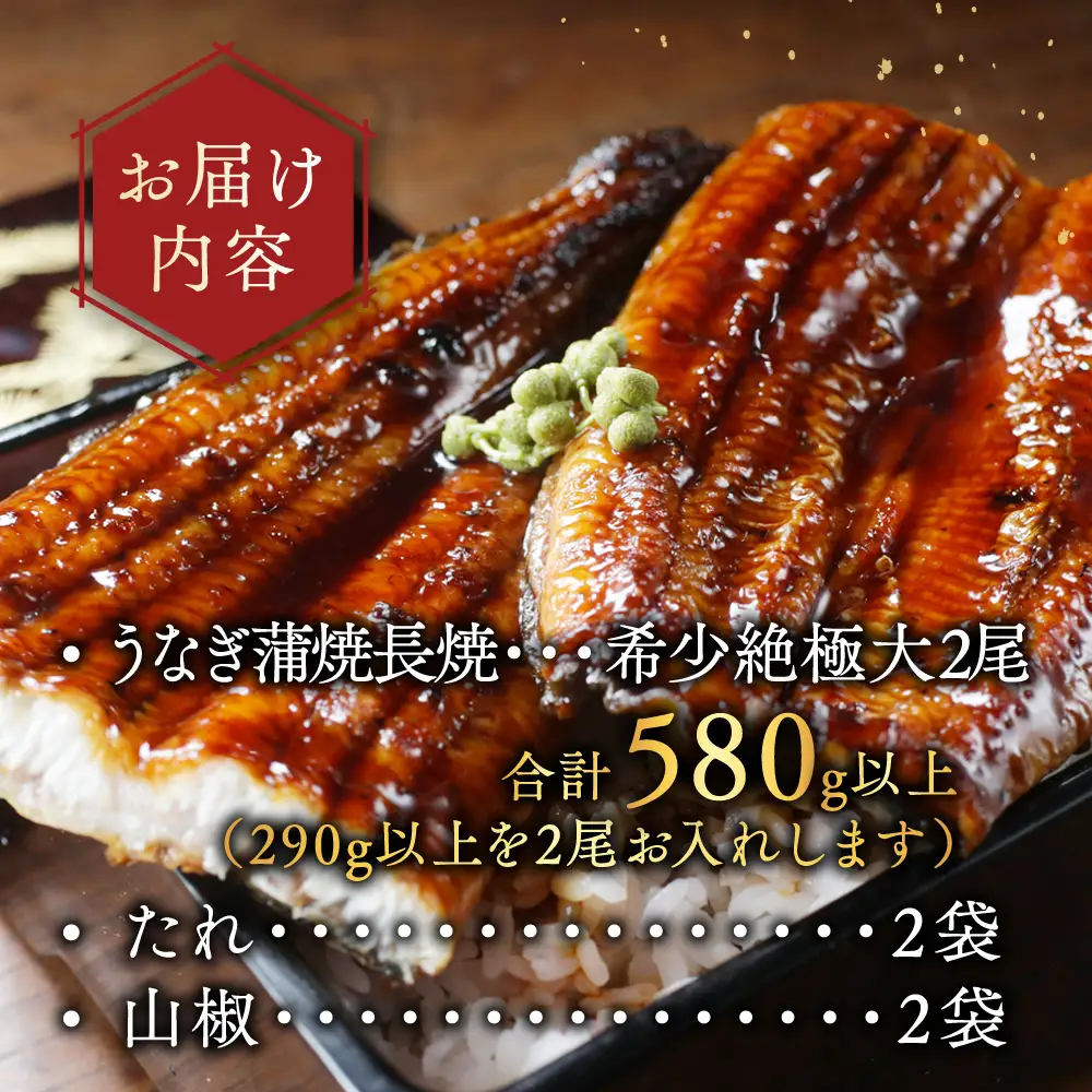 国産 希少 超極大 特上うなぎ(290g×2尾)