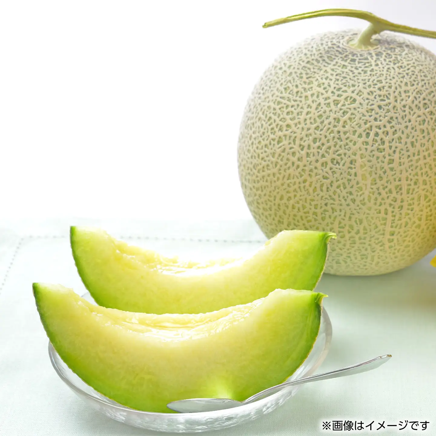 【先行予約】訳あり 肥後グリーン メロン 2玉入り【くまふる】[ZBG090]