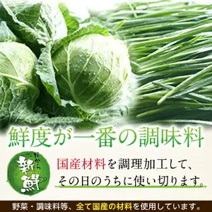 【父の日当日にお届け】【横浜大宝餃子】もちもち国産ジャンボ大宝餃子120個（30個×4） 父の日ギフト AKN0005