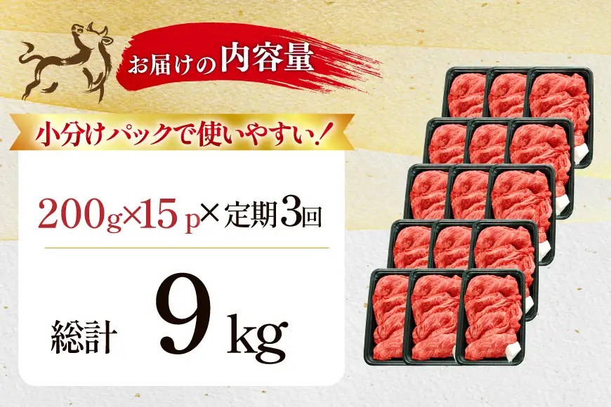 3回 定期 訳あり 牛肉 切り落とし 牛上中肉 3kg 計 9kg [株式会社北島藤原精肉店 徳島県 北島町 29al0045]