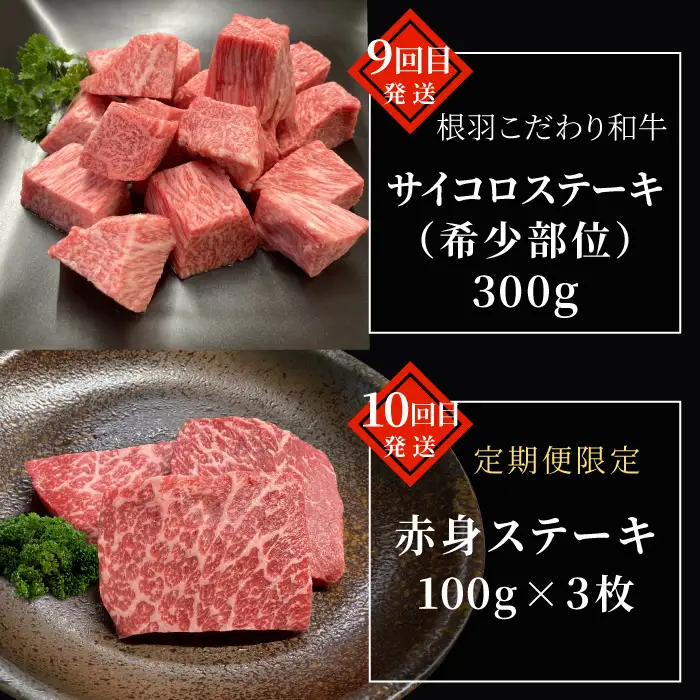 毎月限定3セット！全10回 国産 黒毛和牛★PREMIUM★定期便 シャトーブリアン 赤身ステーキ ステーキ 切り落とし カタロース 焼肉カタロース サーロインステーキ ロースステーキ ステーキ 限定 定期便 根羽村 ブランド牛