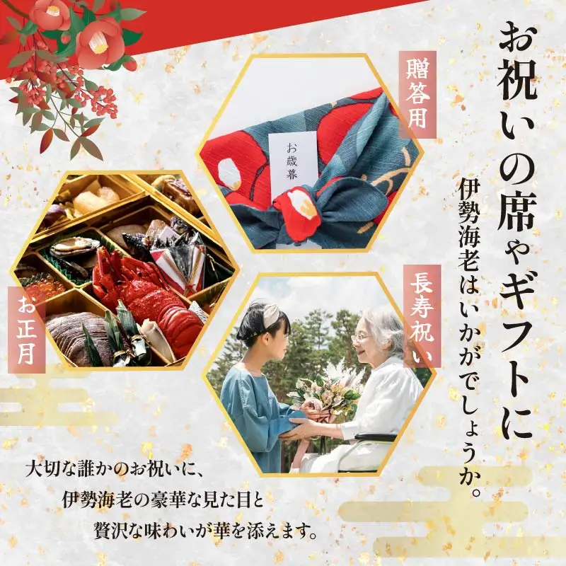 【 伊勢海老 】天然伊勢海老 1kg
