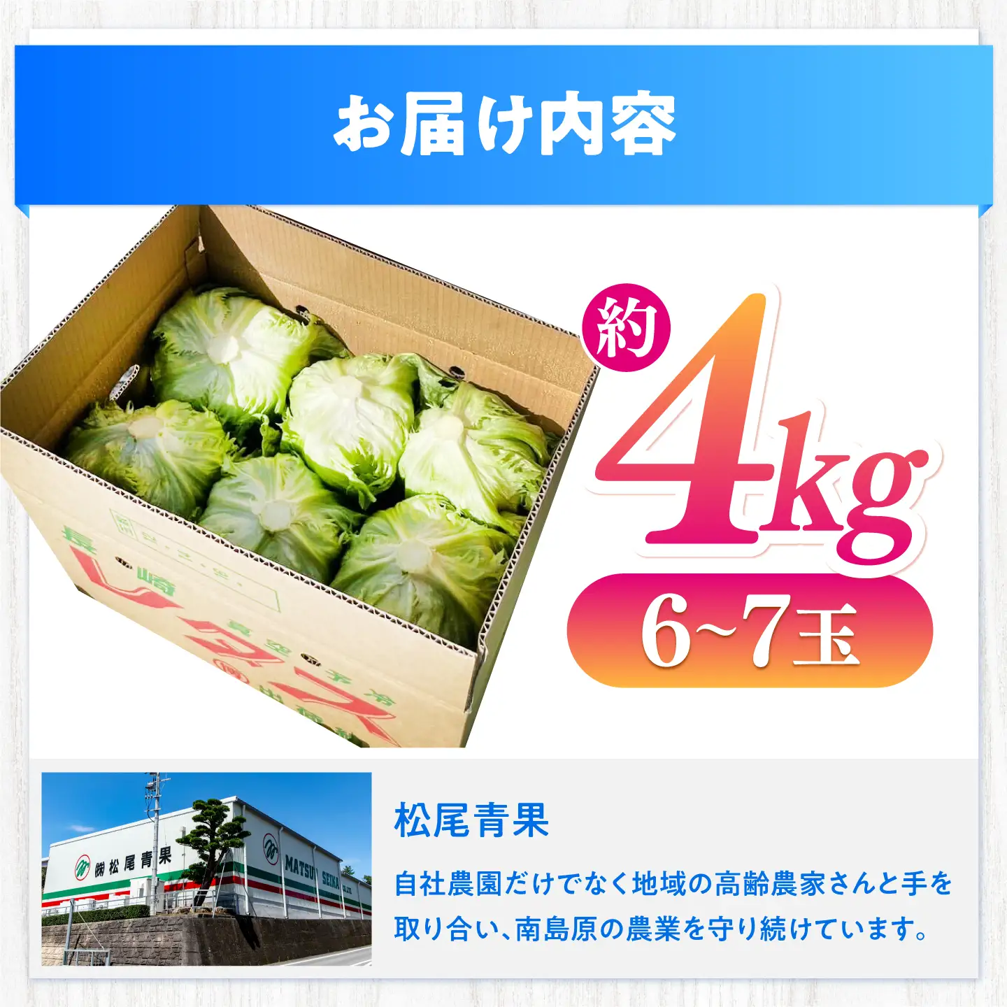 レタス 約4kg 旬レタス[SGU006]