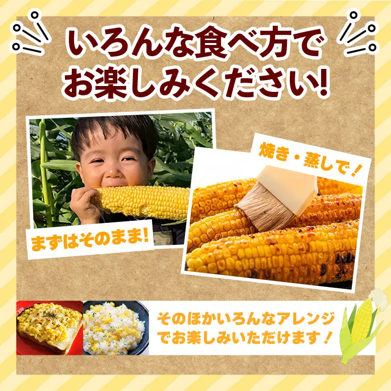 興膳農園のスイートコーン ホワイトコーン 約4kg(9~11本)【スイートコーン とうもろこし 白いとうもろこし 夏 野菜 旬 バーベキュー BBQ 産地直送 国産 興膳農園 福岡県 筑前町 BS003】