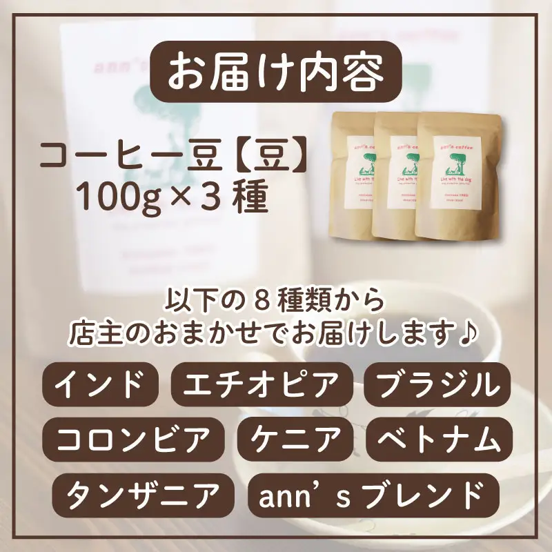 【 コーヒー豆 】ann's cafe 自家焙煎珈琲 300g おまかせ コーヒー豆 京都