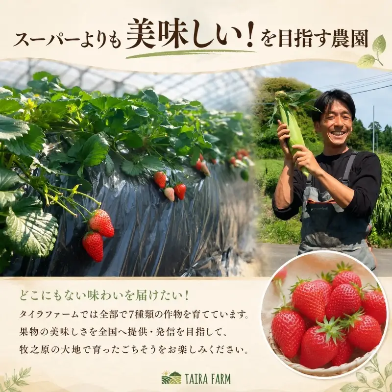 冷凍 イチゴ 1㎏  きらぴ香 牧之原市 静岡県 タイラファーム
