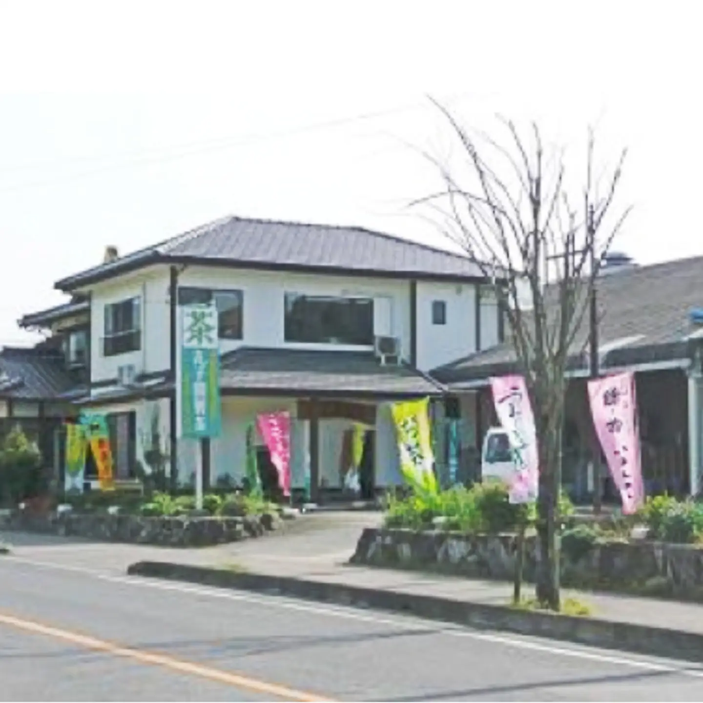 うれしの茶 特上 特撰 各 100g 合計 5袋 セット 嬉野茶 緑茶 茶葉 _c-53