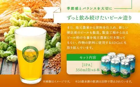 【父の日当日にお届け】TDM 1874 Brewery クラフトビール　IPA（350ml×6本） 父の日ギフト ABG0002