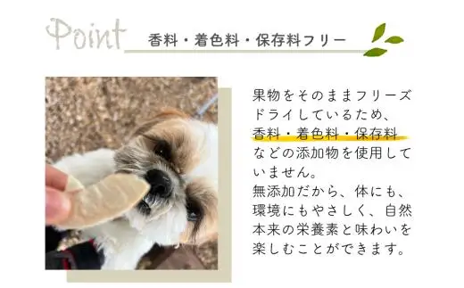 あたご梨のフリーズドライおやつ(22g×1袋) 原材料は「あたご梨」のみ、果物そのまま！(岡山県産) ペット 果物【KF-F002-01】