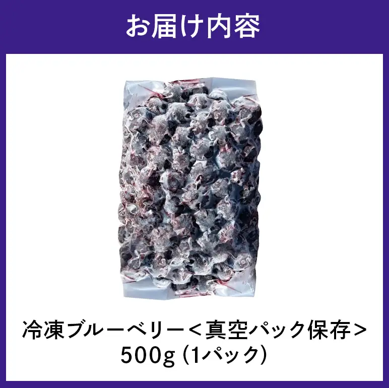 冷凍ブルーベリー＜真空パック保存＞ 500gパック A16-016