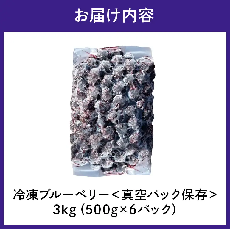 冷凍ブルーベリー＜真空パック保存＞3kgパック(500g×6P) A16-018