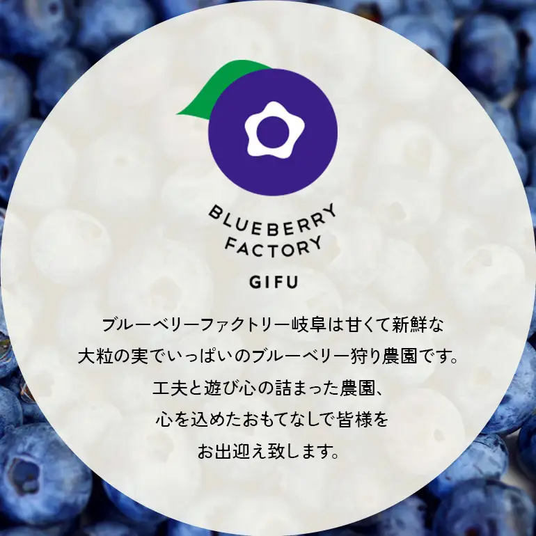 生ブルーベリー 600g（100g×6P） A16-021