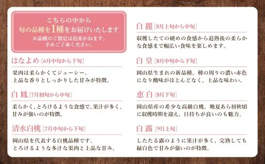 【 全3回定期便 】 訳あり 岡山白桃 （ 家庭用 ） 1.2kg以上 サイズ不揃い 果実 フルーツ 甘み 香り 旬 手土産 くだもの 果物 果汁 果肉 食感 国産 岡山県産 白桃 もも 桃 モモ 【 2026年6月下旬～8月下旬迄発送予定 】