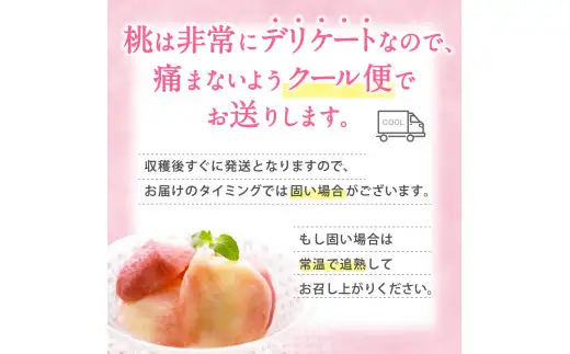 白鳳 桃 5～8玉入り 秀品 【2026年6月下旬以降発送】桃 モモ フルーツ 果物 くだもの 人気 産地直送 厳選 甘い 予約 もも フルーツ王国【mtgn053B】