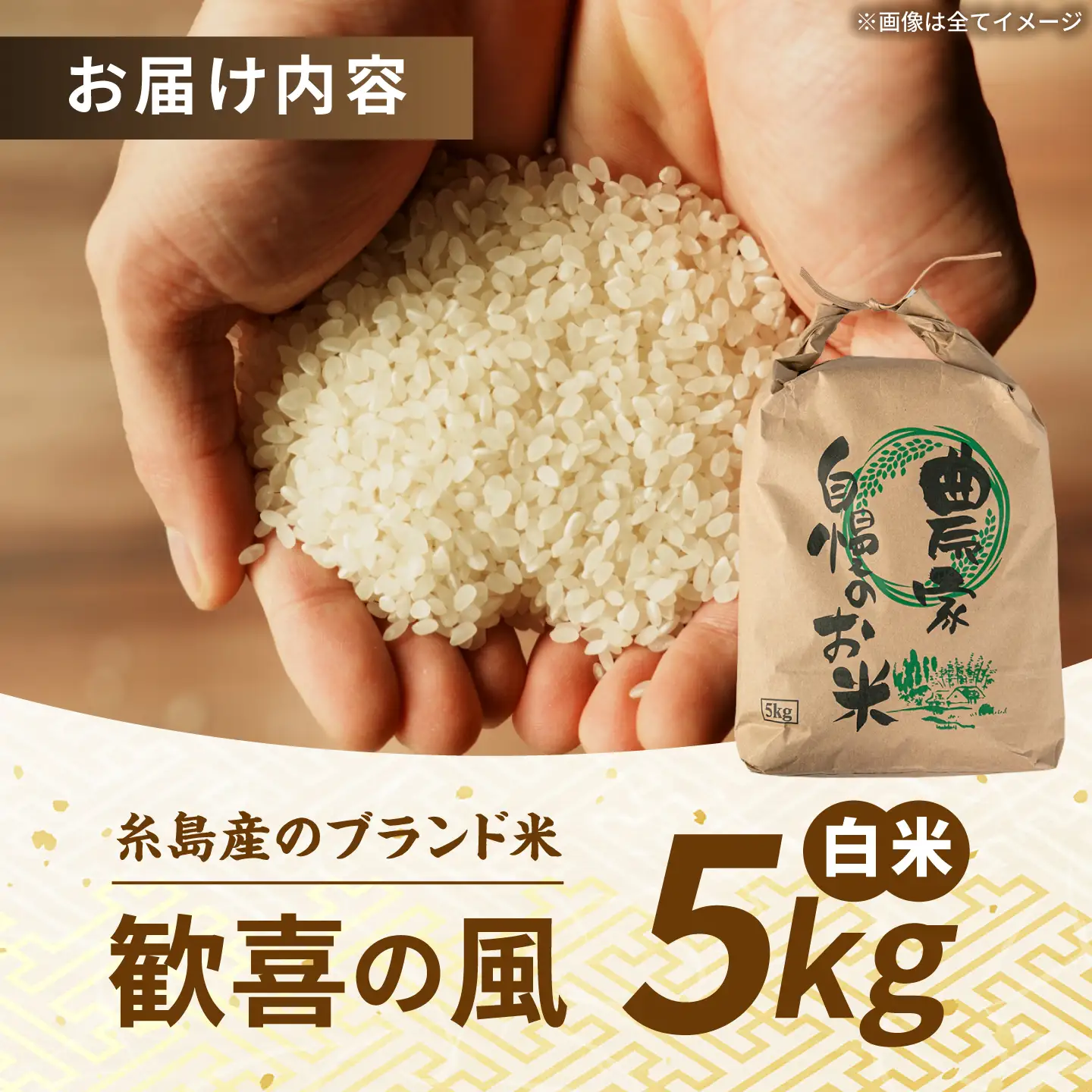歓喜の風 白米 5kg 糸島市産 糸島市 / 糸島の恵み コメ こめ ご飯[AGR003]