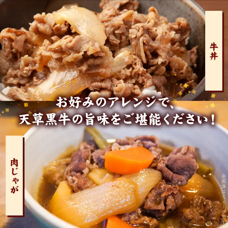 S074-016-T03_【定期便3回】天草黒牛 モモ・スネ肉 切り落とし約500g(250g×2P） 黒毛和牛 A4～5等級