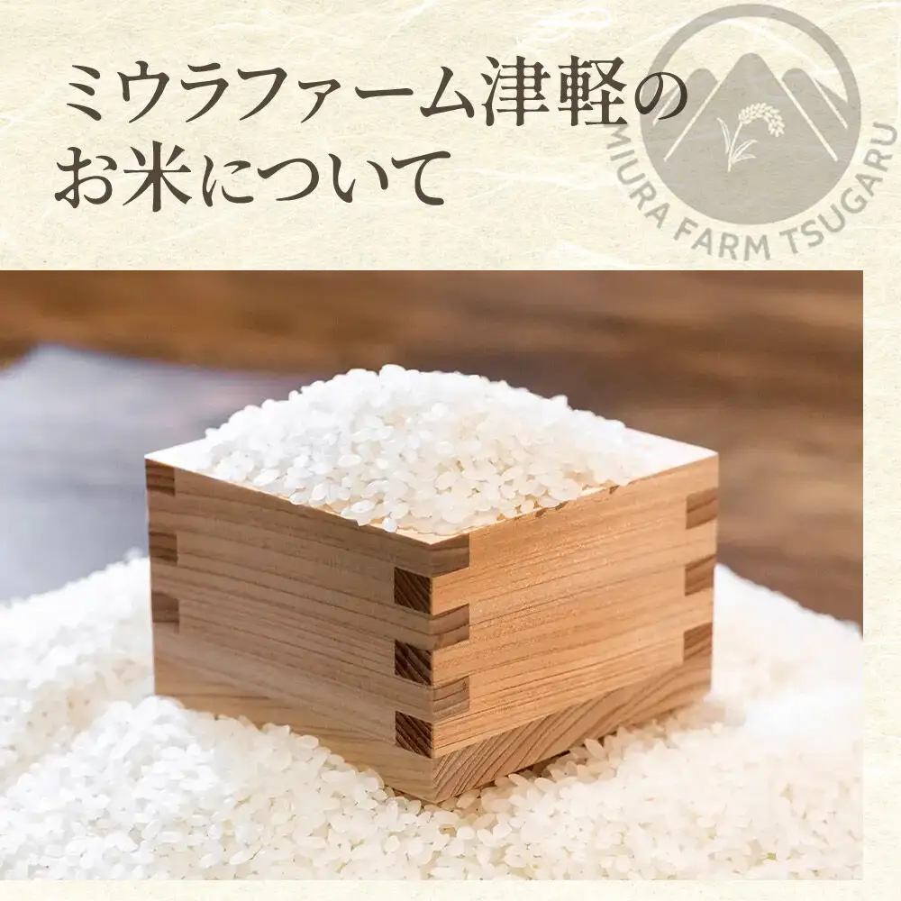 米【特別栽培米】はれわたり 白米 15kg（5kg×3袋）令和7年産 特A 青森県弘前市産