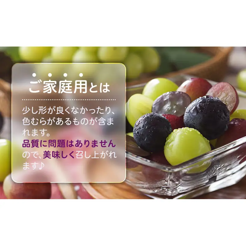 2026年 ぶどう 訳あり よくばり定期便 9月と10月の2回コース 総計 4kg 【1回目ニューピオーネ 2kg 9月中旬発送】 【2回目シャインマスカット 2kg 10月中旬発送】 岡山県高梁市産 9月10月各月発送 数量限定