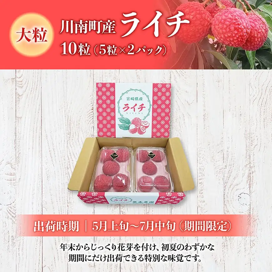 【令和8年産】川南町産ライチ（大粒）10粒(5粒×2パック)【 国産ライチ フルーツ デザート 宮崎県産 】