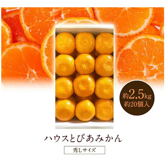 浜松市産 JAとぴあ浜松 ハウスとぴあみかん 秀Lサイズ 約2.5kg 約20個入り 糖度11度以上 みかん ミカン 静岡 浜松市