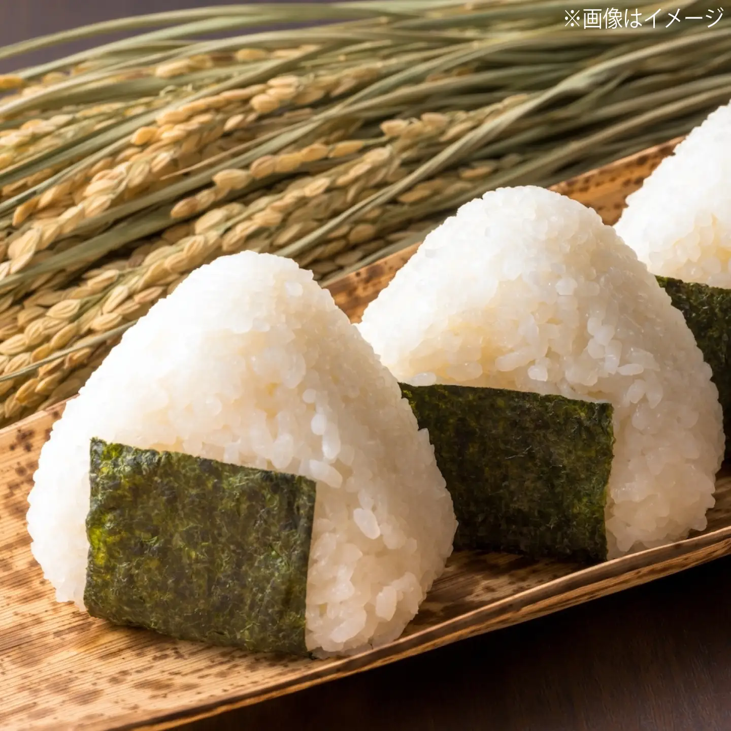 【先行予約】【2026年10月以降発送】【全6回定期便】新米きぬむすめ5kg 島根県松江市/株式会社沼田米穀店[ALBU023]