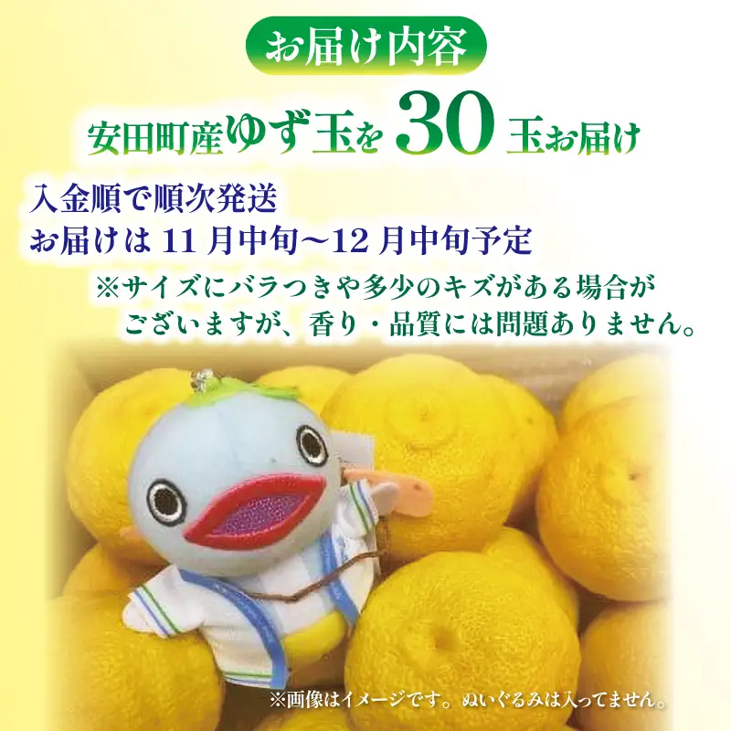 【先行予約】 安田町産 ゆず玉 料理にお酒にお風呂にどうぞ 期間限定