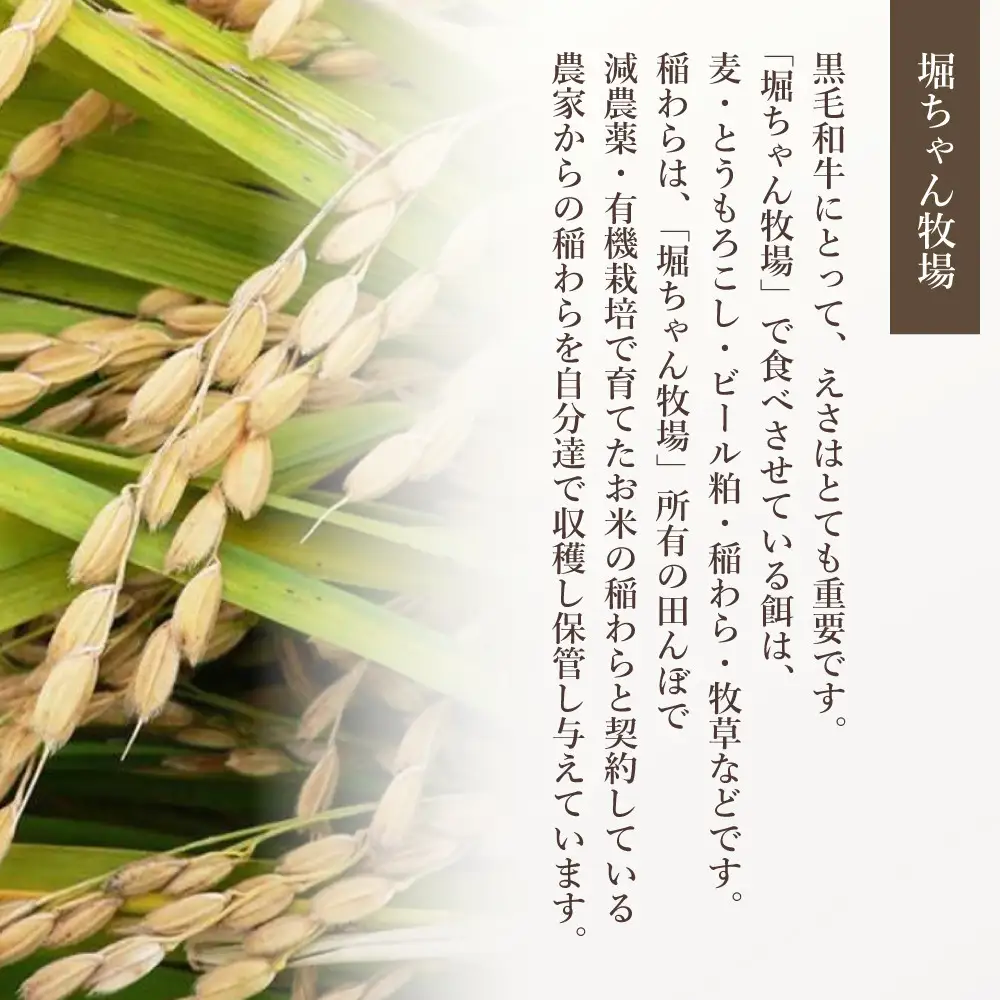 博多和牛　もつ鍋セット（醤油味）＜3～4人前＞
