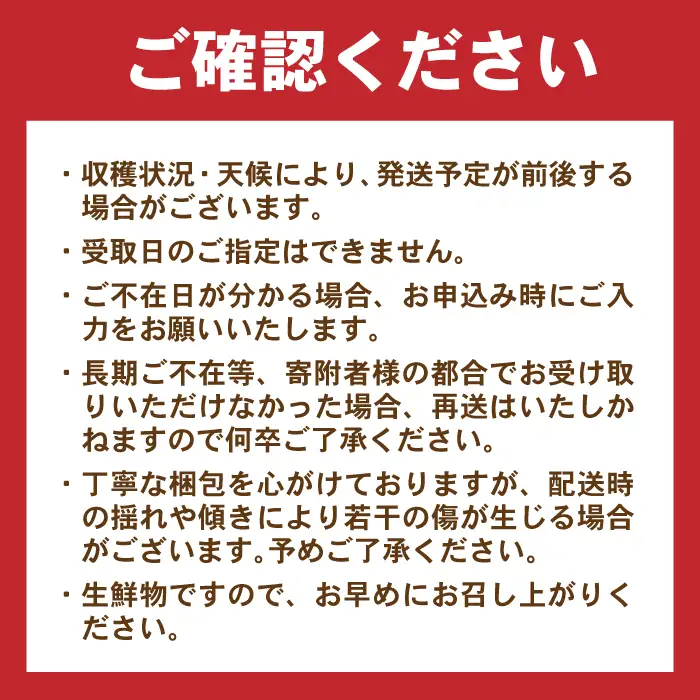 月2回お届け【12回定期便】諫早産 野菜の詰め合わせ 8・9品目程度 / 季節 旬 野菜 やさい 春野菜 夏野菜 秋野菜 野菜セット 詰め合わせ 野菜定期 野菜定期便 定期便 / 諫早市 / 肥前グローカル株式会社[AHDI014]