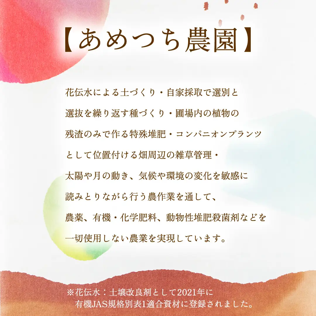【8月下旬発送開始】 ミニトマト 約 230g × 4パック 【 あめつち農園 】 [BP001tu]