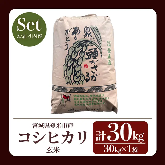 【14営業日以内に発送予定】≪令和7年産≫ コシヒカリ 玄米 30kg×1袋 登米市産 お米 おこめ 米 コメ こしひかり ご飯 ごはん おにぎり お弁当 【登米ライスサービス株式会社】tm726