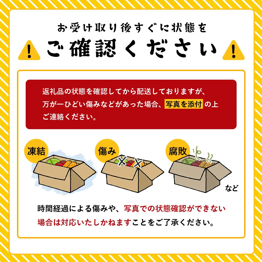 【規格外】本土最南端から 旬のおまかせ野菜セットB 12品目以上 NI-6｜ 旬 野菜 やさい 果物 くだもの 産地直送 農産物 冷蔵 鹿児島県 南大隅町産 詰合せ おまかせ 家庭用 訳あり なんたん市場