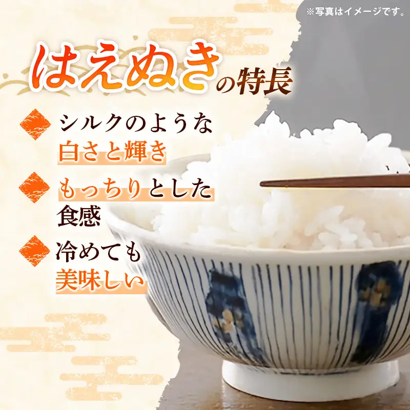 【R7年産米】はえぬき 白米 10㎏(5㎏×2) - 米 ごはん 山形県 飯豊町