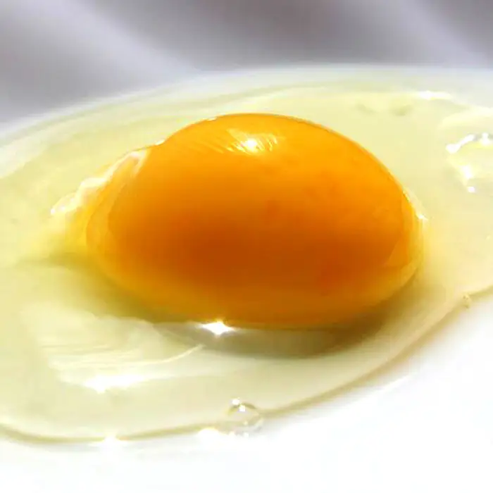 【定期便12か月】国産飼料にこだわった鶏が産む安全安心の 『レモン色たまご』60個（55個＋割れ保証5個） ［Hn12］