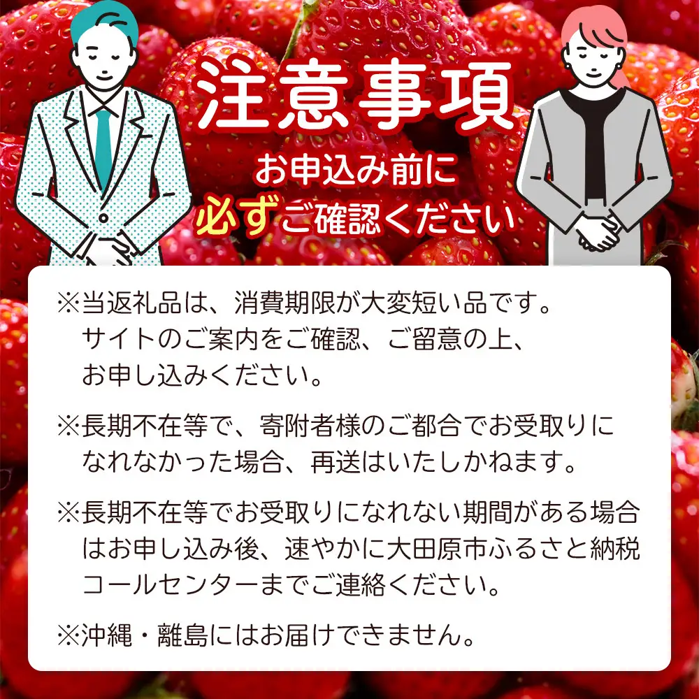 【先行予約受付】≪2027年1月発送≫ 白箱 とちあいか ミルキーベリー 紅白セット ｜果物 いちご 朝取り 新鮮 ハート フルーツ デザート ストロベリー デザート スイーツ 苺 イチゴ 大田原市 栃木県