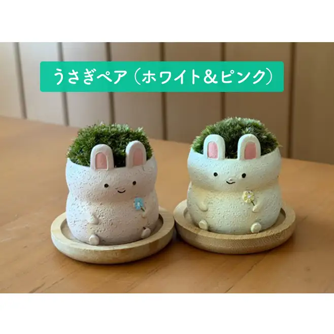 アニマルコケペア アニマル 鉢 置物 インテリア 雑貨 文鳥