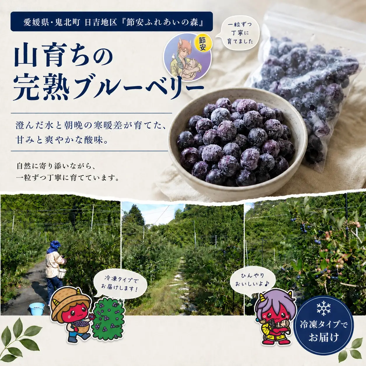 【先行予約】【大きさ形ふぞろい】冷凍ブルーベリー900g（150g×6P） | 無選別 不揃い 国産 個包装 小分け 冷凍 鬼北町直営農園 果実 フルーツ 果物 くだもの 朝食 ヨーグルト　鬼北町役場 日吉支所 愛媛県 ※2026年8月～発送