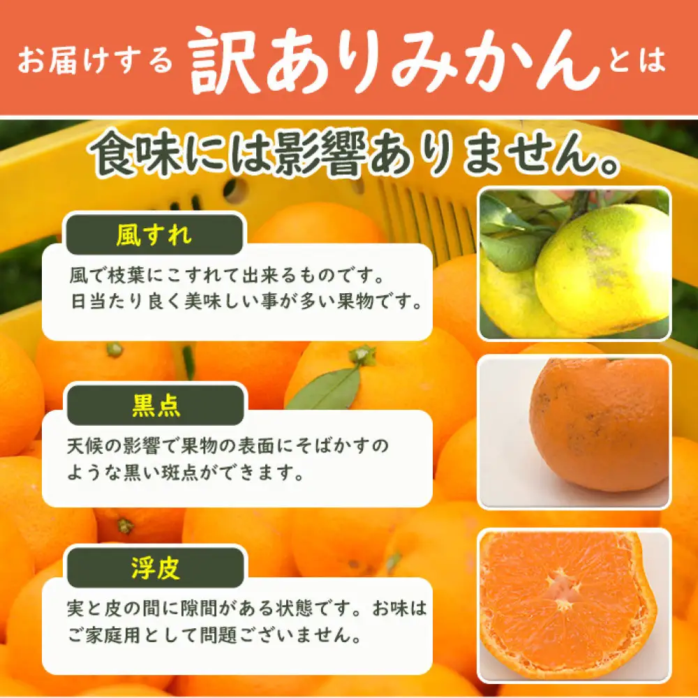 ［定期便］昔ながらのみかん 5kg 4回定期便 ご家庭用  蔵出しみかん  早生みかん
