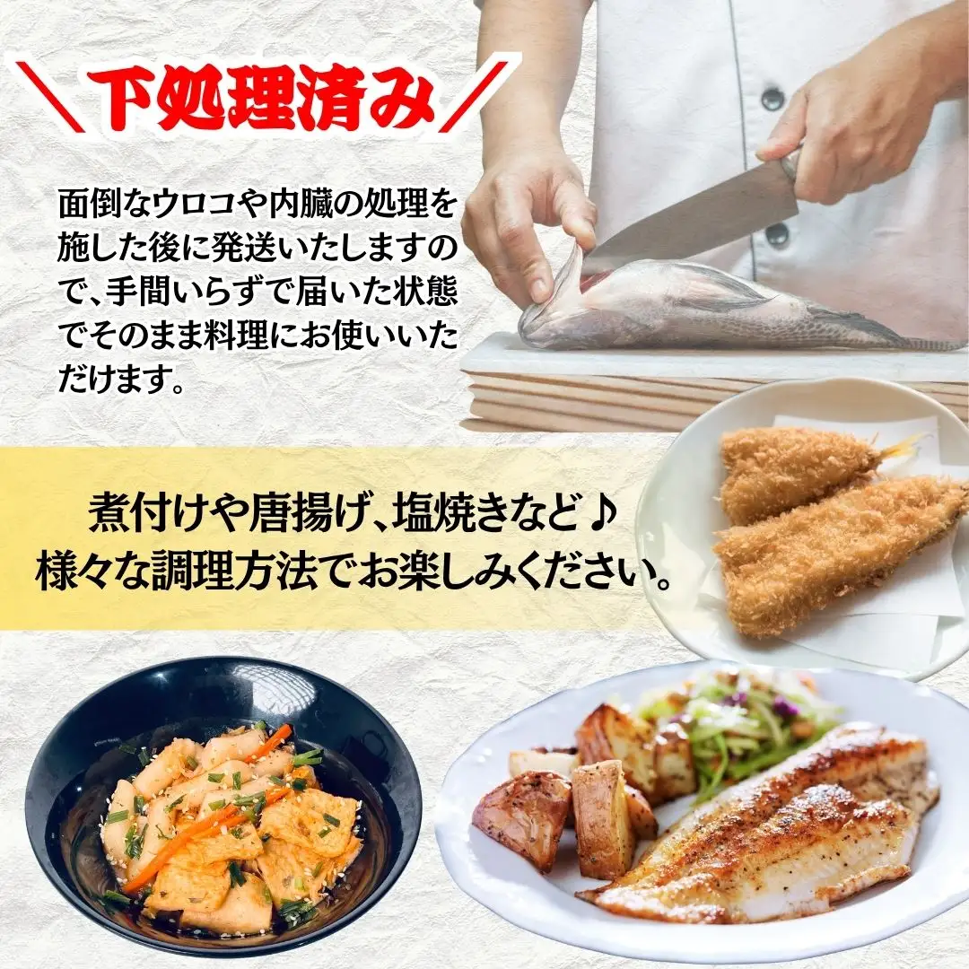 【下処理済み】 旬の鮮魚 詰め合わせ3kg以上  (3～5種)  安宅漁港 石川県 小松市