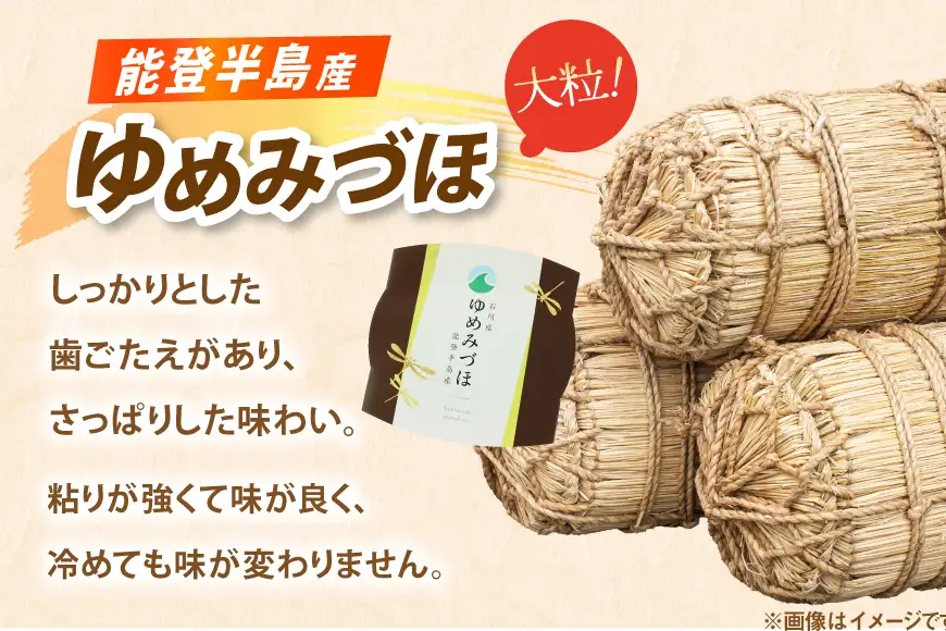石川県産米 食べ比べ パックご飯 4種アソート セット コシヒカリ ひゃくまん穀 ゆめみづほ （白米3食＆玄米1食） [みどりの波 石川県 宝達志水町 38601392]
