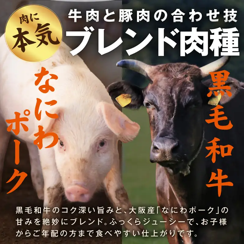 肉の泉佐野 ハンバーグ 30個（合計3.6kg）｜ハンバーグ 訳あり 黒毛和牛×なにわポーク