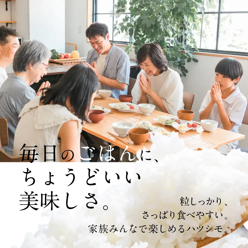 ≪令和7年度産≫ プロが厳選 白米 ハツシモ 5kg｜白米