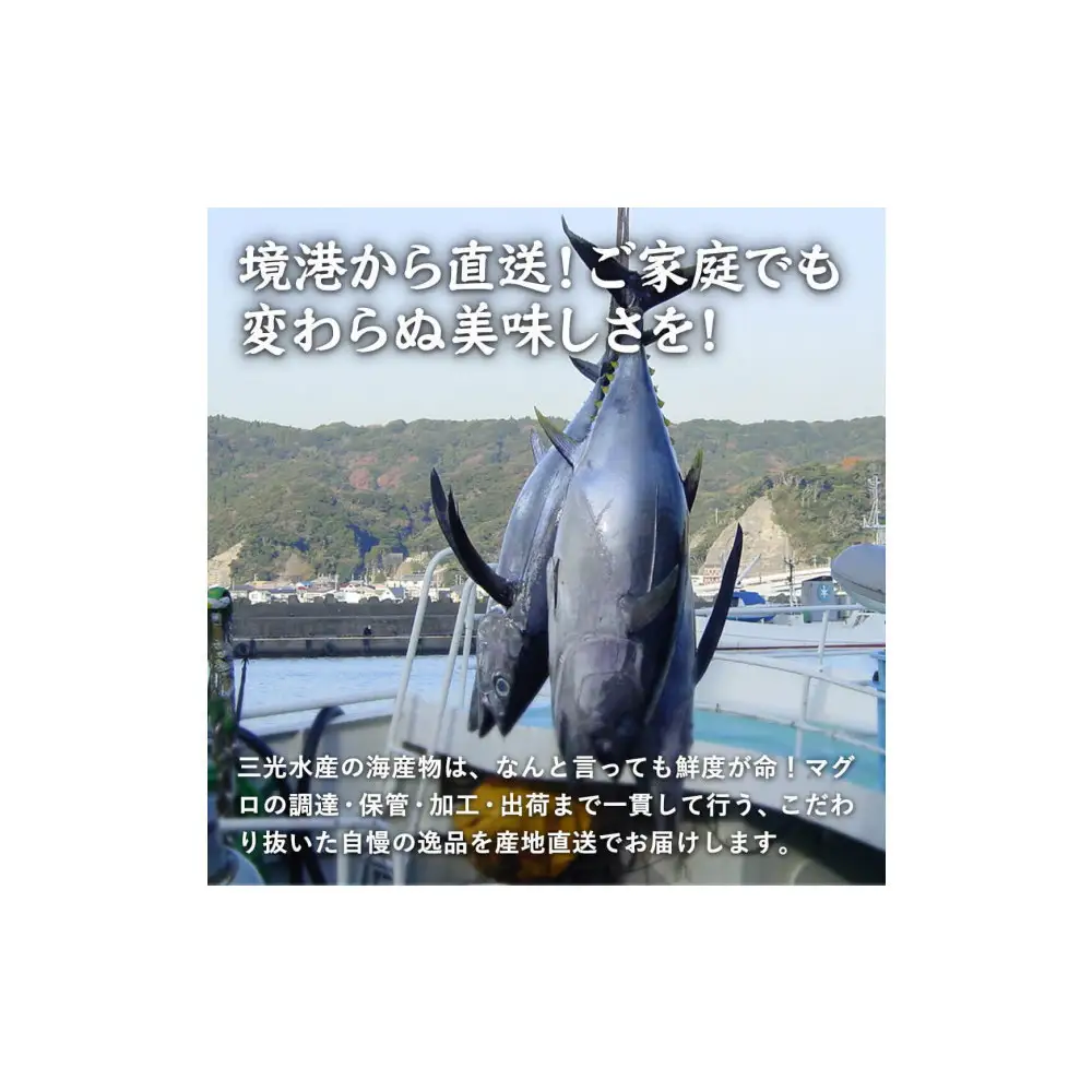 天然本マグロ(黒マグロ)　中トロ300～400g