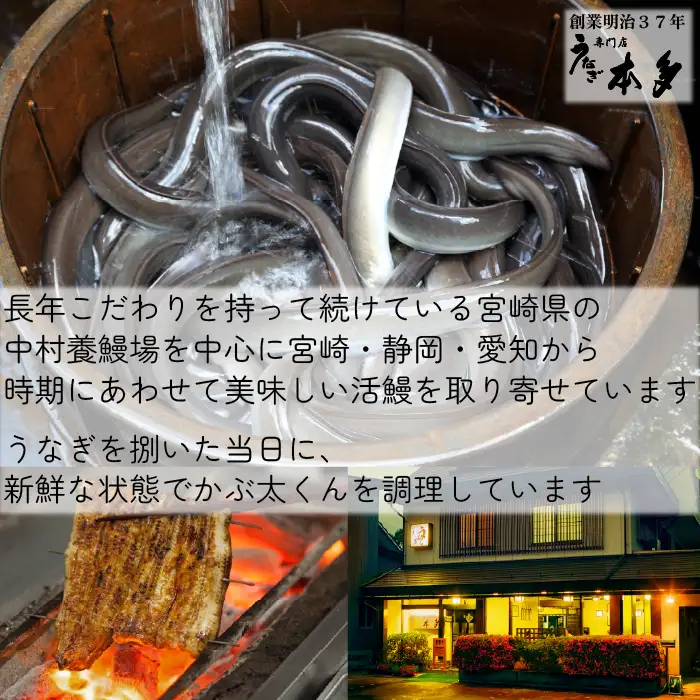 【犬猫用おやつ】うなぎのかぶ太くん 《ふれーく・うまみ味タイプ》 国産 無添加 無塩 獣医監修 ペットフード（Ab-204-1）
