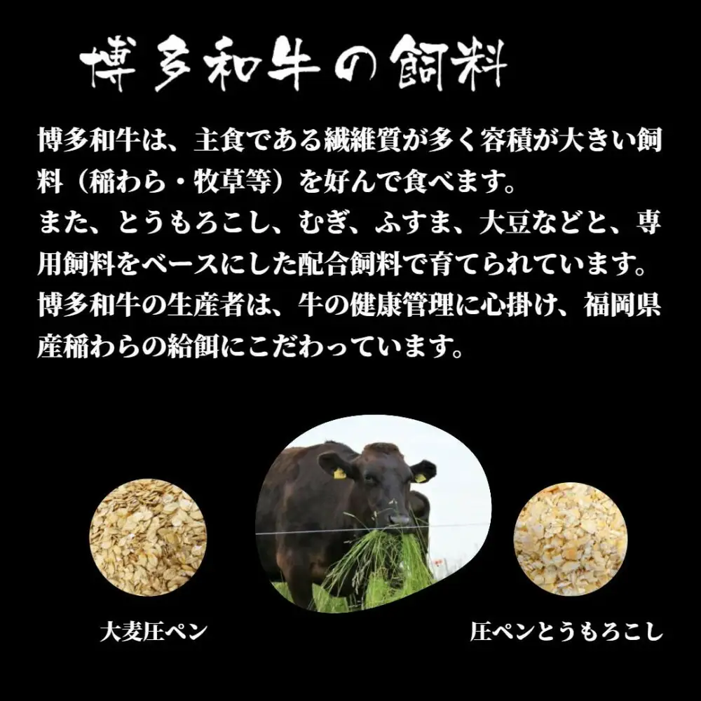 博多和牛 シャトーブリアン 480g