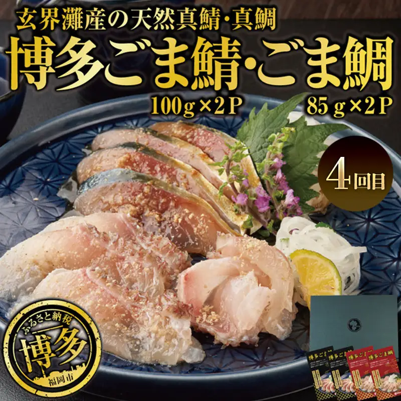 博多うまか 定期便 4回（博多ごま鯖セット/辛子明太子 1本もの/博多もつ鍋3～4人前/博多ごま鯖&ごま鯛） ま鯖 博多 お取り寄せ 天然真鯖 ごま鯖 長浜市場 鮮魚 冷凍 ごまさば 個包装 九州 醤油 ごま鯖 福岡 郷土料理 魚卵 魚介類 水産 食品