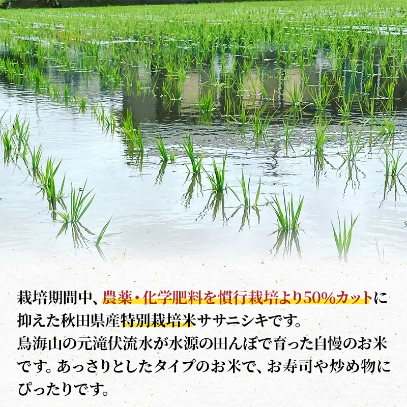 【令和8年産 新米予約】【無洗米】秋田県産特別栽培米ササニシキ5kg×1袋 新米 お米 おこめ 精米特別栽培米